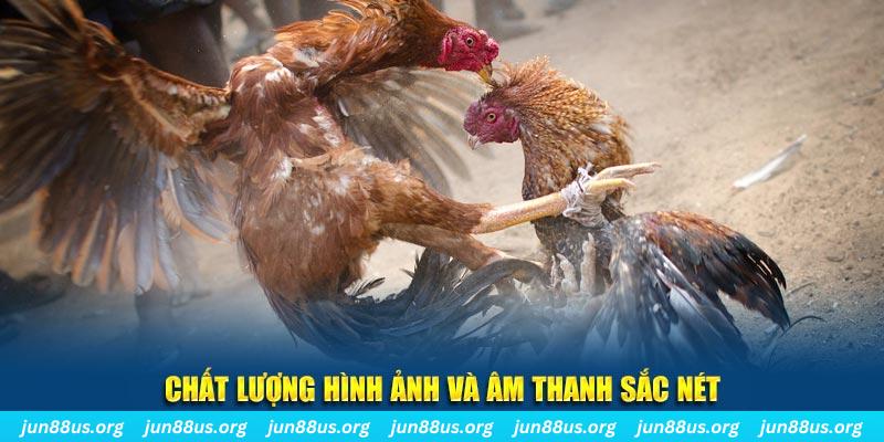 win 33 casino SÒNG BẠC