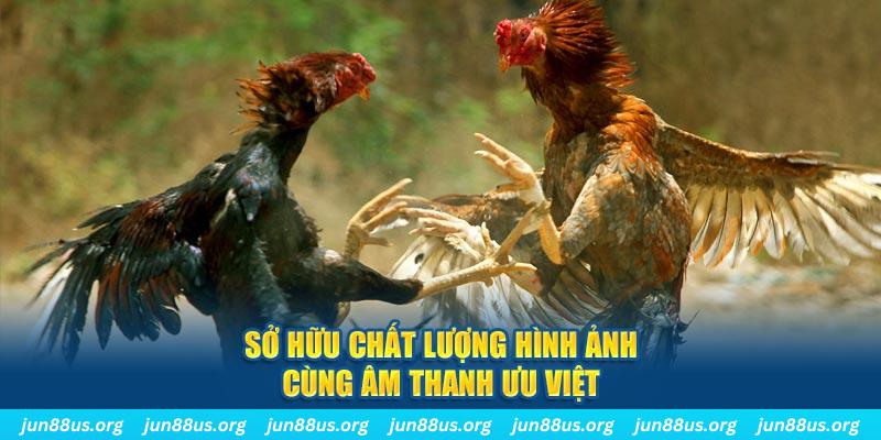 ku bet 11 casino là gì
